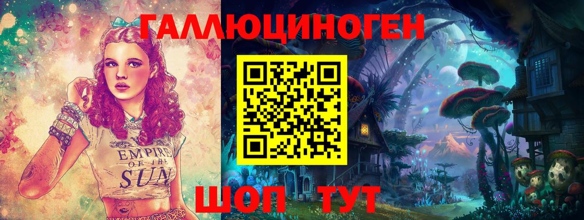 Волжск  Галлюциногенные грибы Cubensis  Вход с VPN 