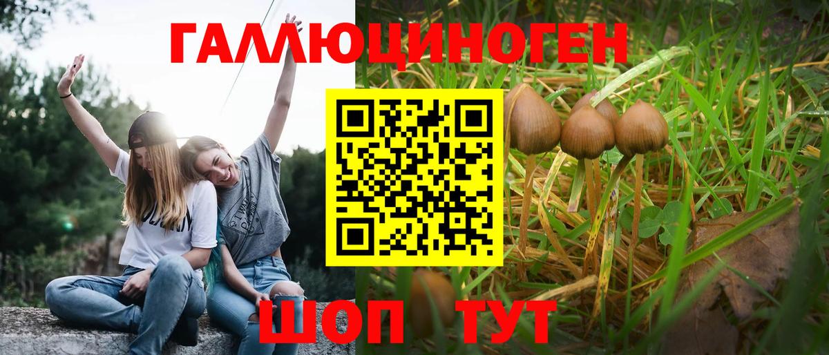 Галлюциногенные грибы GOLDEN TEACHER Волжск