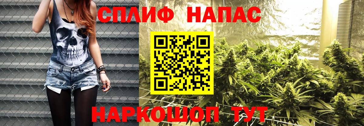 Бошки Шишки конопля Волжск